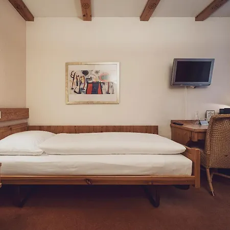Mountain Plaza Hotel 4*
