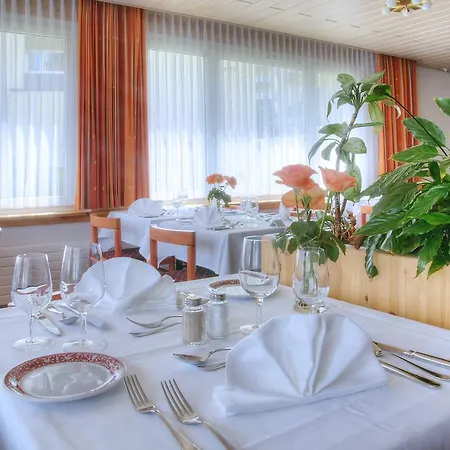 Hotel Mountain Plaza 4*