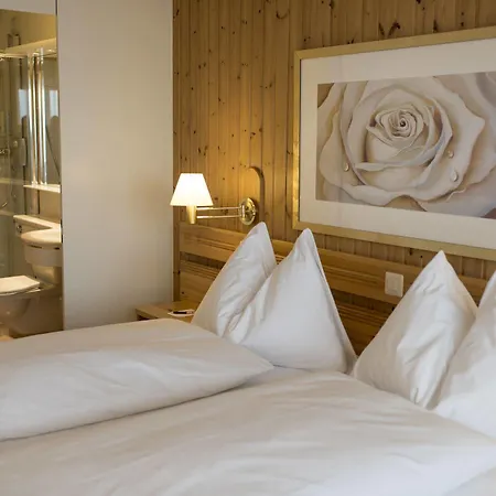 Mountain Plaza 4*