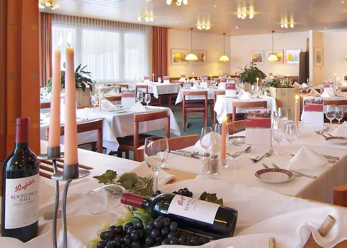 Hotel Mountain Plaza 4*