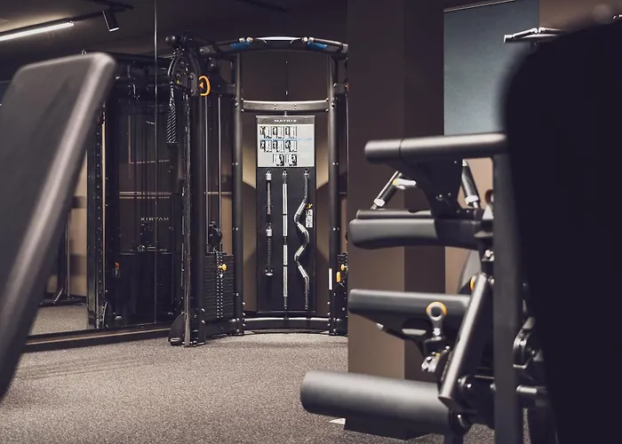 فندق Mountain Plaza 4*