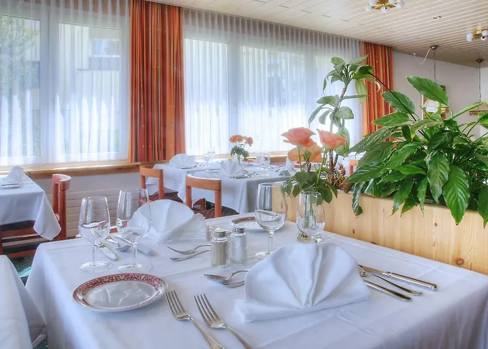 فندق Mountain Plaza 4*